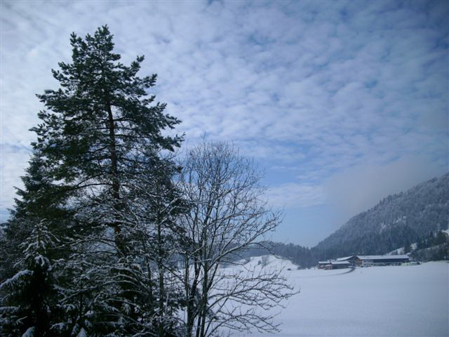 Ferienhaus Haus Catharina - Alois Bellinger jun. Ferienhaus/4 Schlafr./Bad/Du/2xWC,Waschm.TV, (627530), Kössen, Kaiserwinkl, Tirol, Österreich, Bild 3