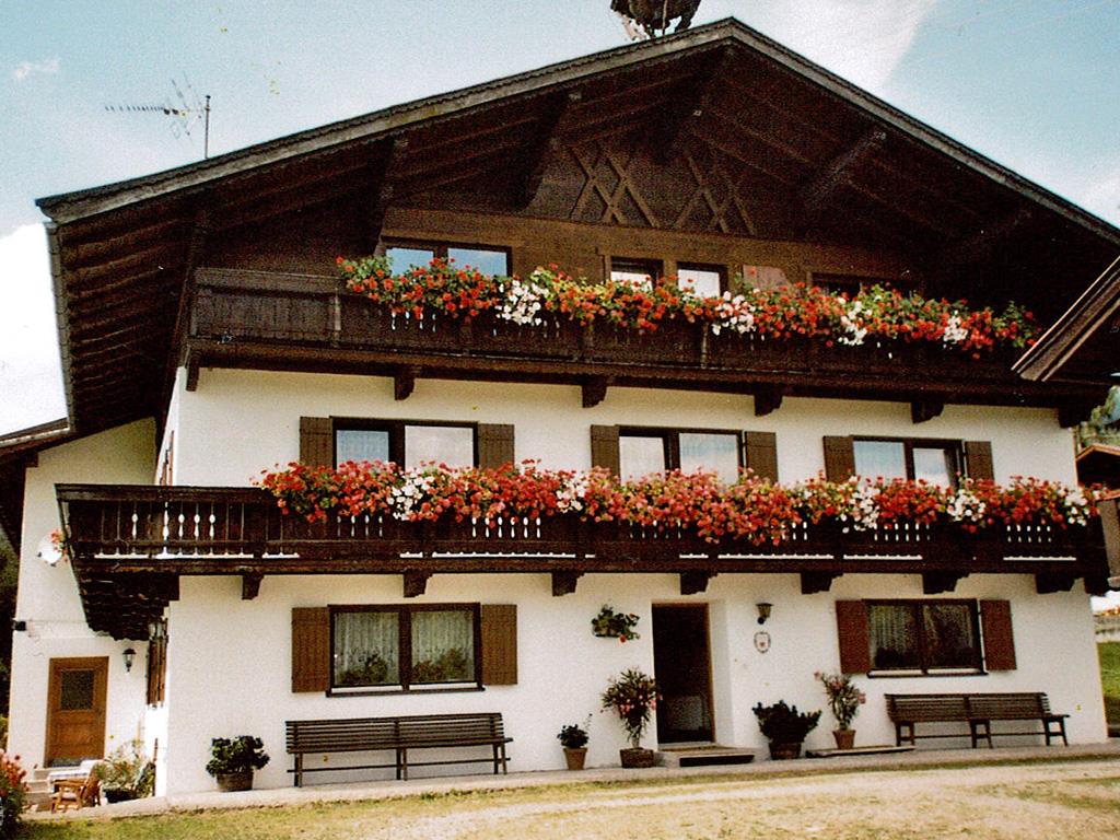 Ferienwohnung Bauernhof Grünbachhof - Fam.Schlechter Apartment/1 Schlafraum/Dusche,WC, Balkon (627366), Kössen, Kaiserwinkl, Tirol, Österreich, Bild 1