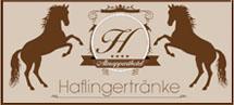 Alm-Apparthotel Haflingertränke