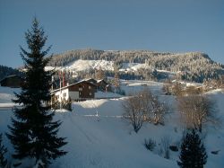 Obr�zek apartm�nu