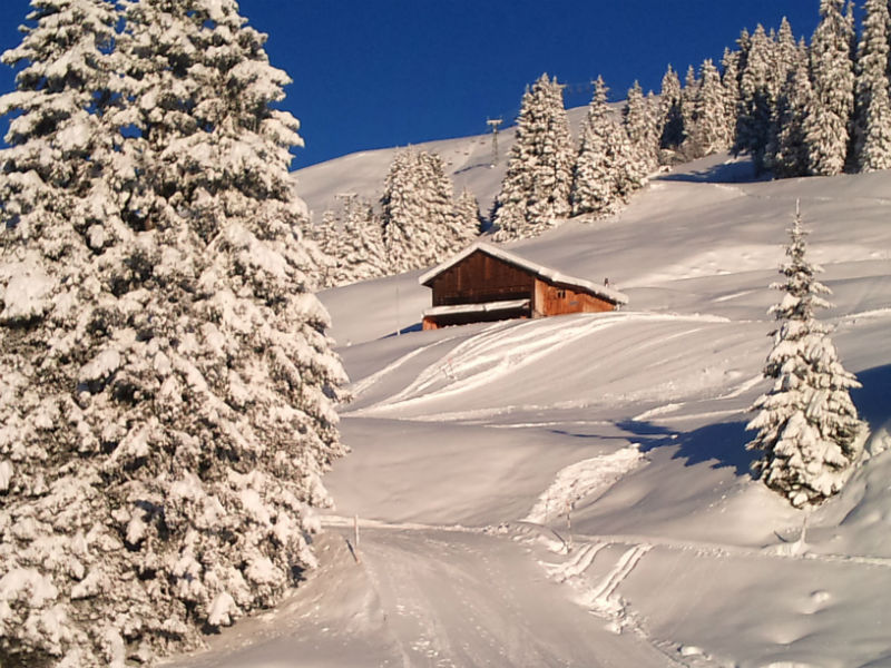  en location de vacances � Brigels Surselva (Suisse).Cliquez pour agrandir la vue
